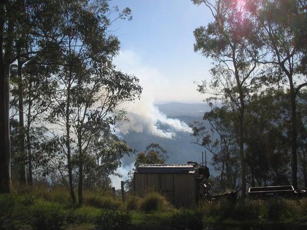Forest Fires, Gold Coast Hinterland