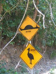 Drive Carefully - Cassowary Area