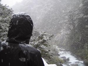 Snow on Arthur's Pass