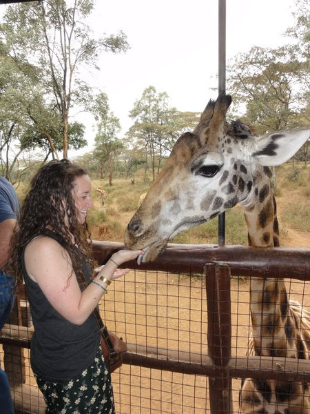 Feeding my giraffe friend