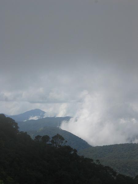 Cloudmaking in the hills, Cameron Highlands