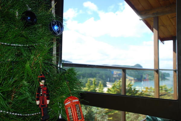 A Kiwi Christmas