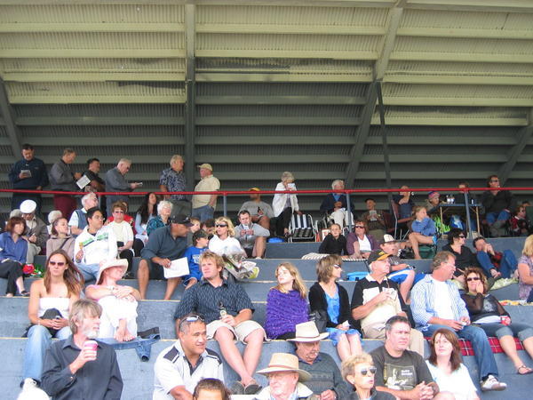 Thronging Grandstand, Thames Races