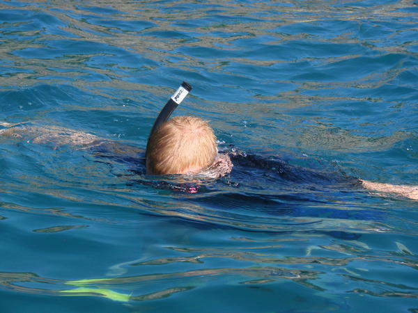 Chris snorkelling with a seal - NOT dolphins