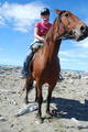 Abbie on her horse at Tikitiki