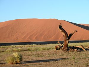 Sossusvle-Namibia 047