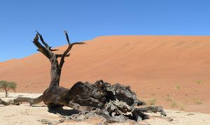 Sossusvle-Namibia 061