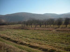 Serbian Countryside