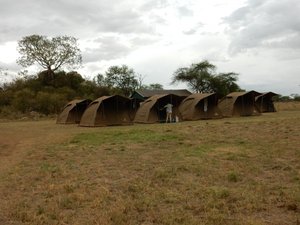 Serengeti Campground