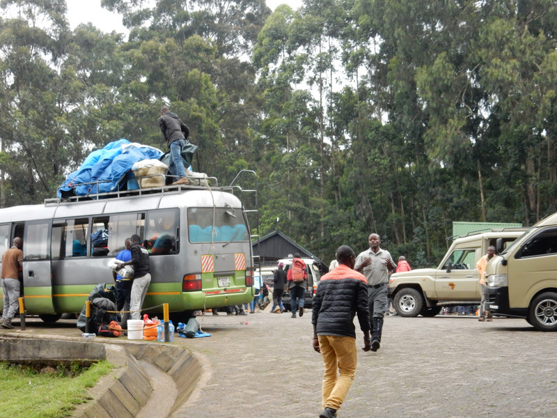 Hustle and Bustle at the Machame Gate