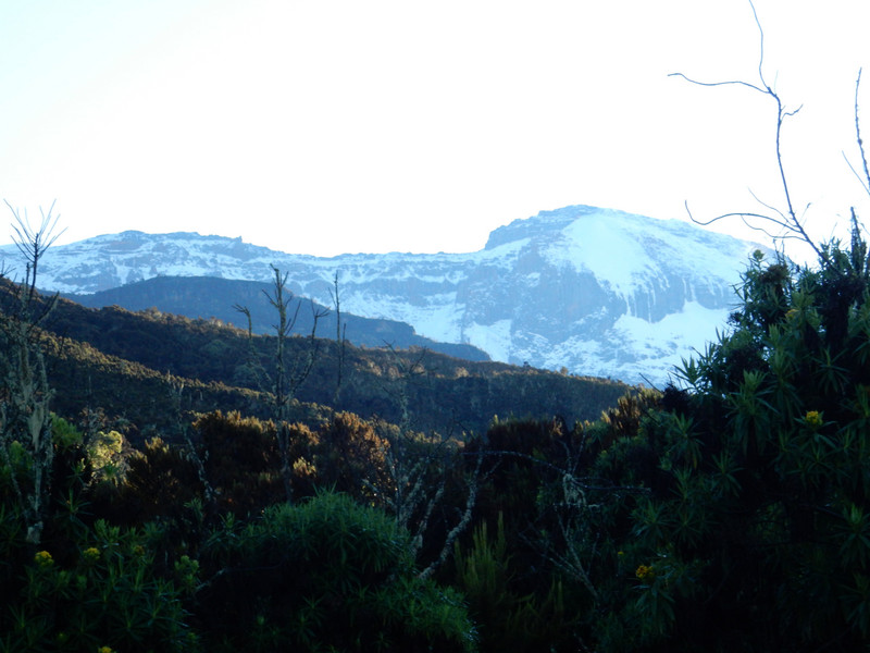 Morning View from Machame Camp