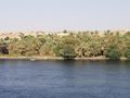 Scenes along the Nile