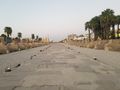 Avenue of the Sphinxes