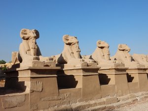 Ram-Headed Sphinxes