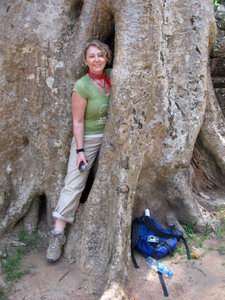 Karen in a tree...