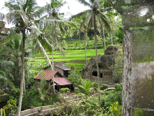 View from Gunung Kawi...