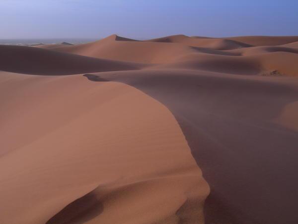Dunes at Sunrise IV