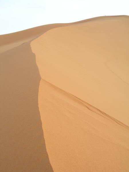 Sahara IV