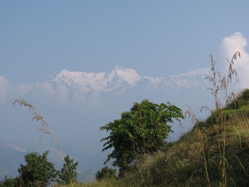 More Himalayas...