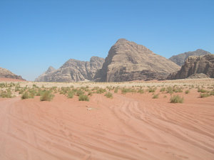 Wadi Rum III