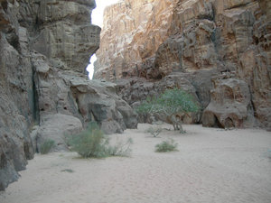 Wadi Rum IX
