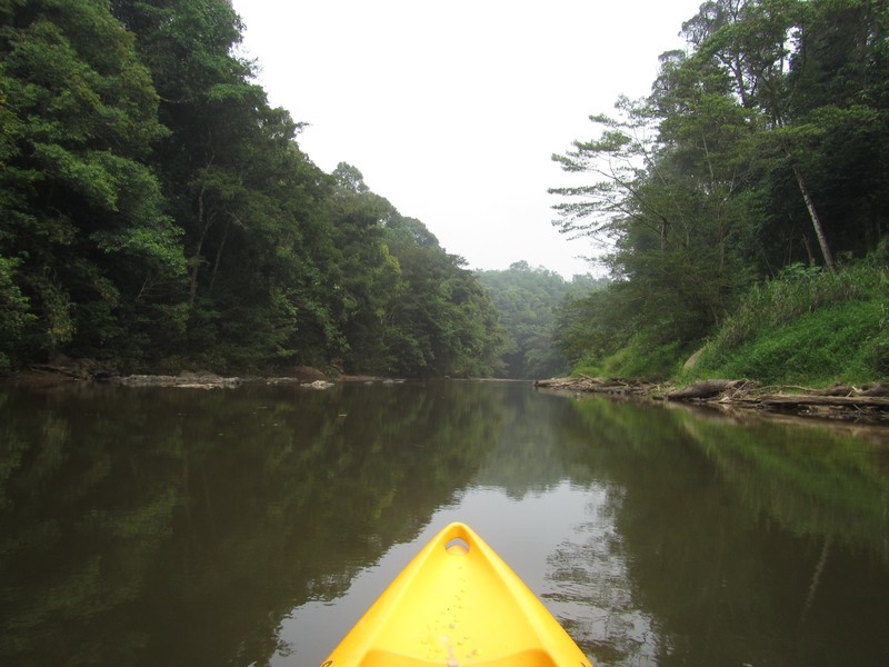View from the Kayak
