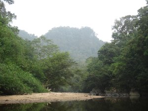 Along the Semadang II