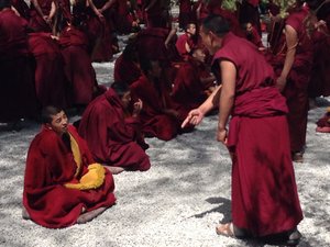 Monks Debating IV