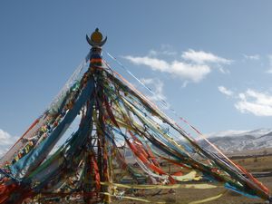 Tibetan Standard