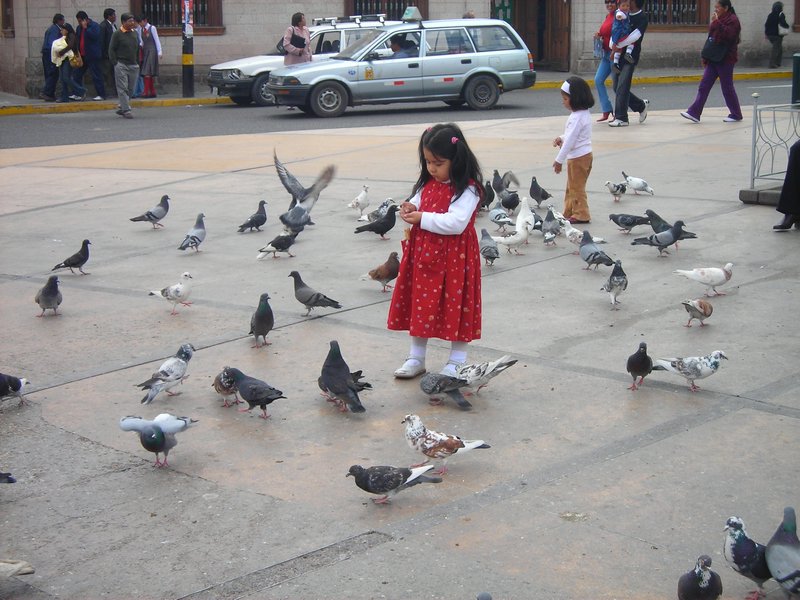 Niñas feeding pigeons
