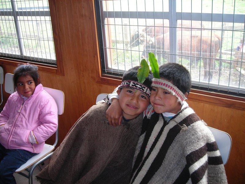 Mapuche boys at Coi-Coi