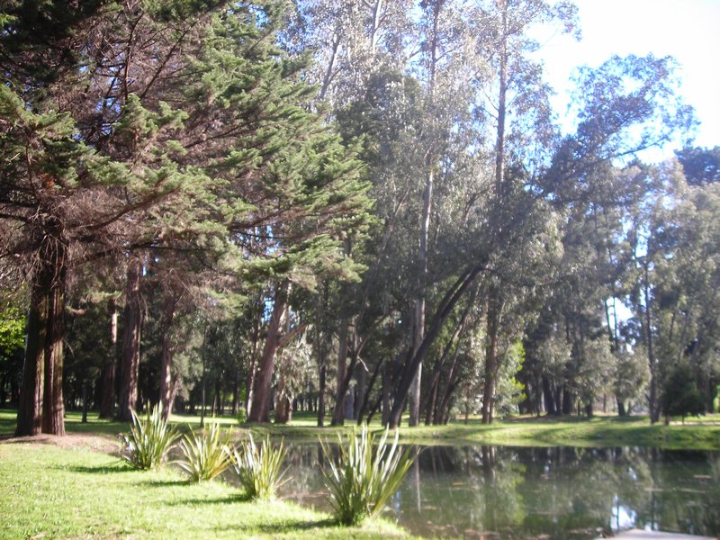 Parque Isabel Riquelme