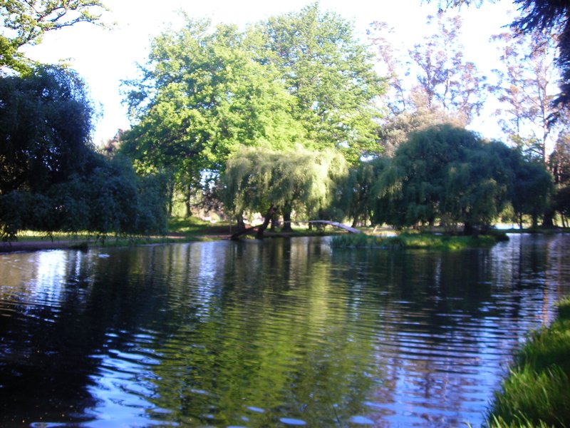 Lago en Parque Isabel Riquelme