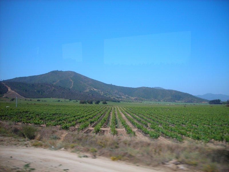 Wine Country (from the bus)