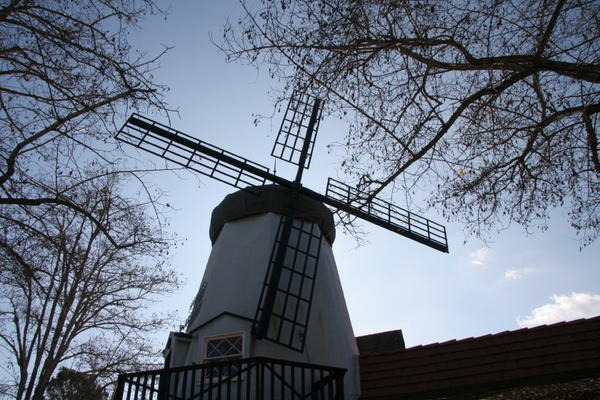 one of the many windmills