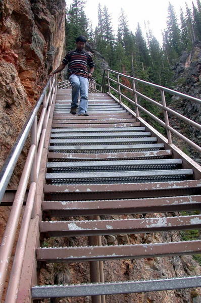Uncle tom trail into the Grand canyon of yellowstone