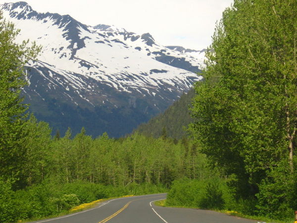 drive to Exit glacier