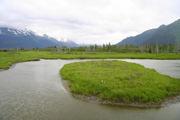 Alaska Wildlife conservation center, Portage Glacier