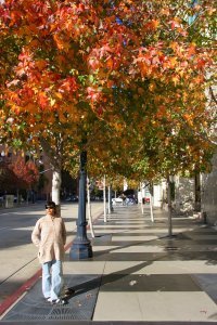 Colorful Downtown