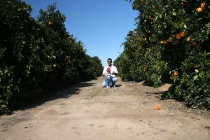 you can walk into the farm..I guess you are ok so long as you don't pluck any of 'em