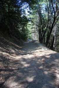Steep grade along the trail