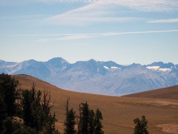 view of the Sierras from Discovery trail