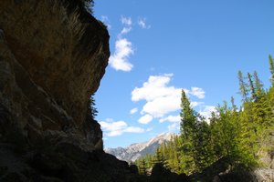 Looking up the canyon wall