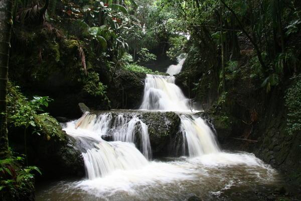 Onomea Falls, Tropical Botanical Garden