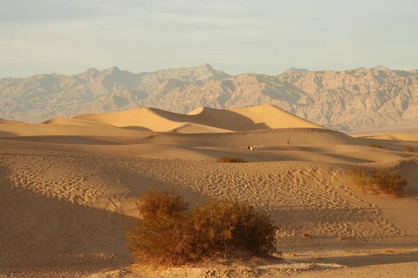 The dunes