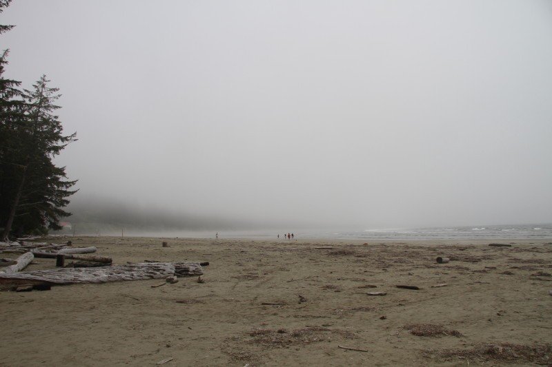 the familiar pacific fog