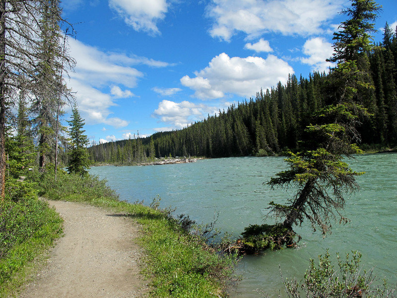 Bow river, Lake Louise campground