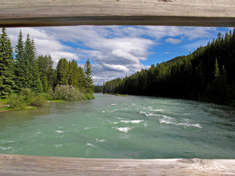 Bow river