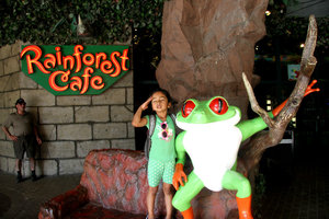 with the red-eye tree frog