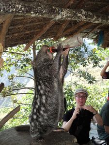 Picuro having a drink! | Photo